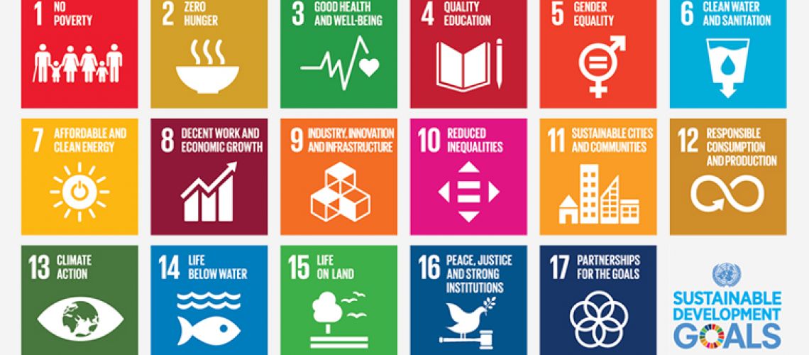 What are the Sustainable Development Goals (SDG’s)?