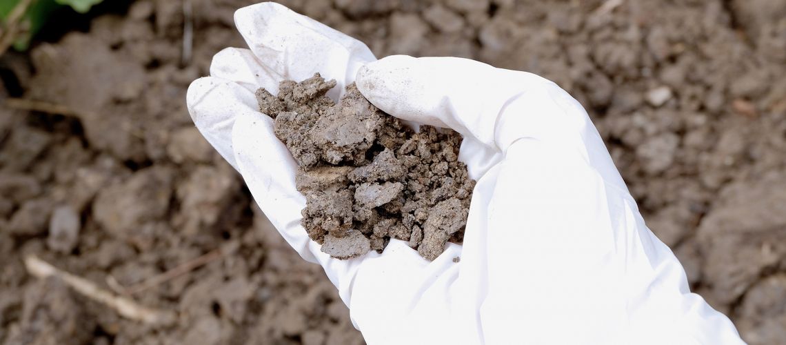 How Contaminated Soil Affects Construction Projects