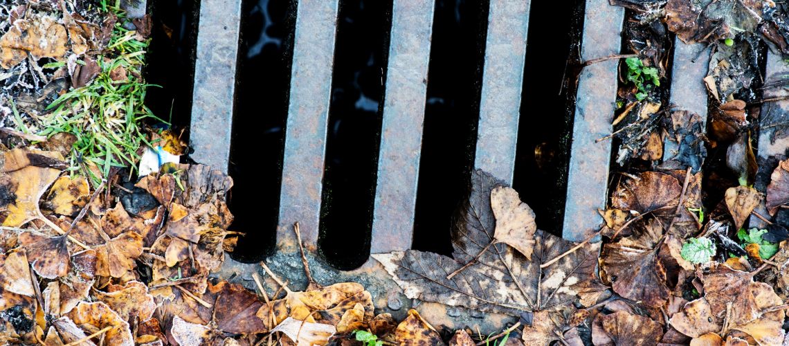 Blocked Commercial Drains: The Common Causes