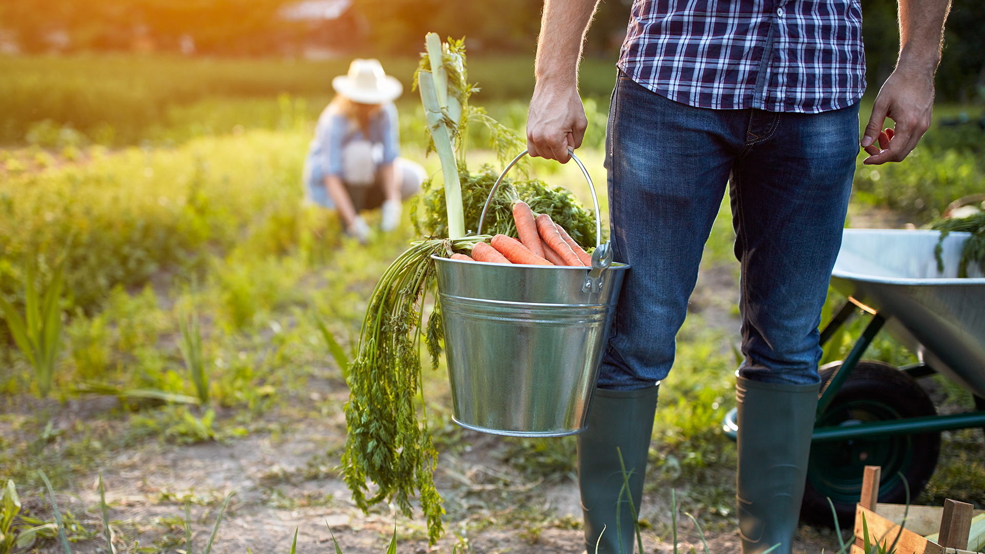 5 Recyclable Items in Your Kitchen Enva